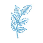 Blue leaf 2