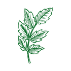 Green leaf 2